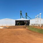Juntas, as empresas que beneficiam gergelim geraram 214 empregos diretos em Canarana