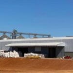 Juntas, as empresas que beneficiam gergelim geraram 214 empregos diretos em Canarana