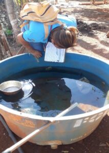 Em meio a pandemia do novo coronavírus, a dengue não para de avançar em Canarana – MT, o que está gerando preocupações.